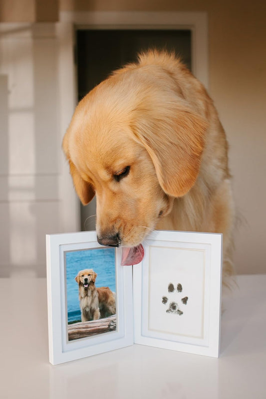 Paw Print Stamp Pad Kit