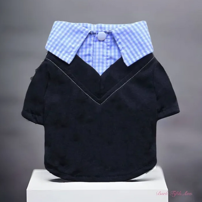Dapper Boy Collar Dog Shirt