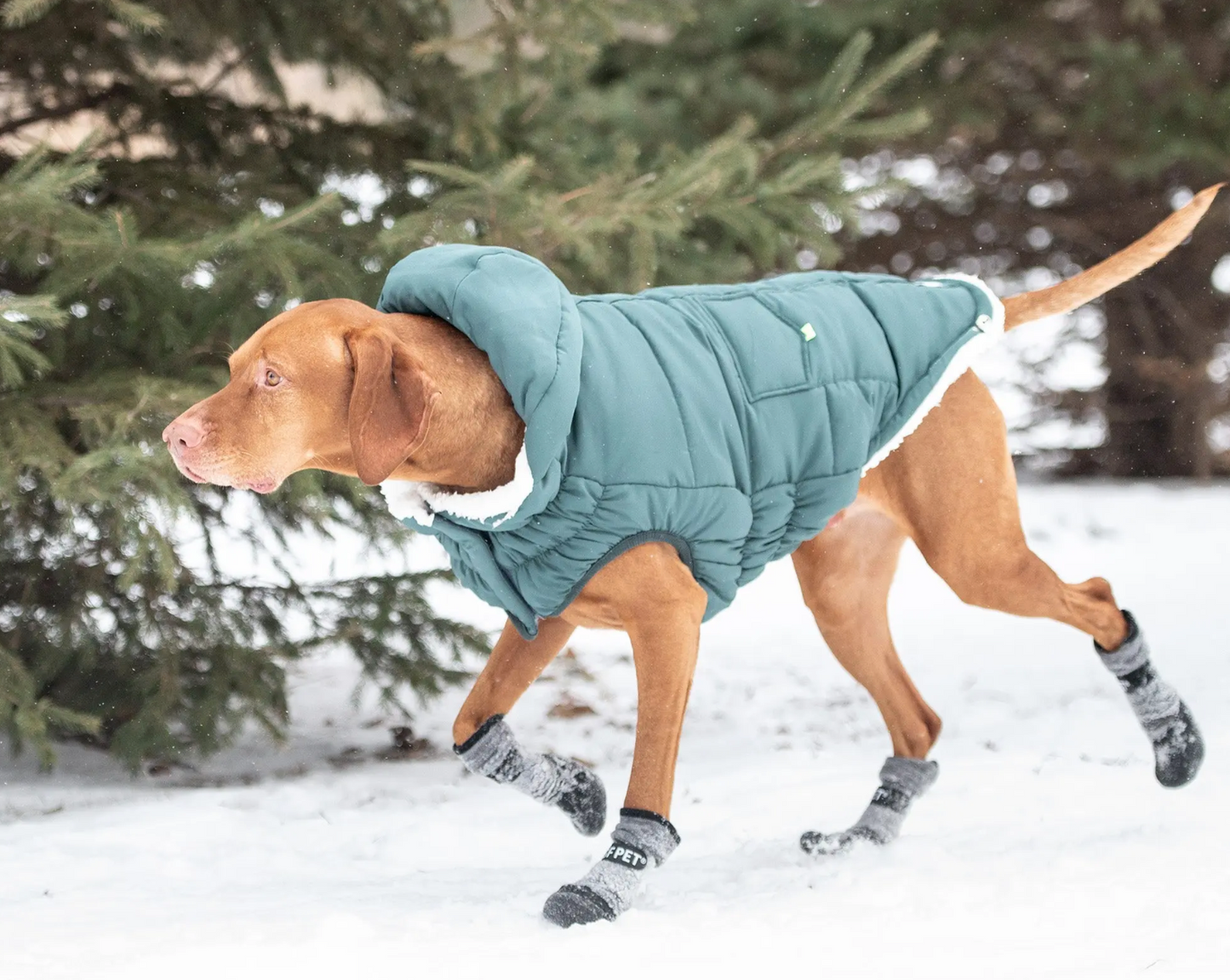 All Terrain Dog Boots