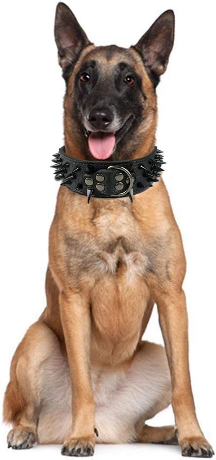 Spiked & Studded Adjustable Genuine Leather Dog Collar
