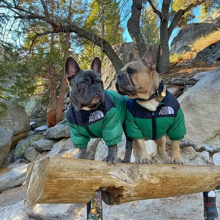 The Official Dog Face Down Puffer Coat