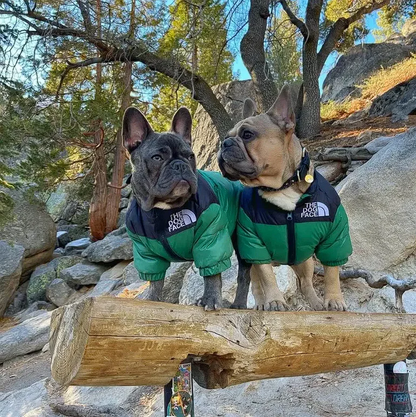 The Official Dog Face Down Puffer Coat