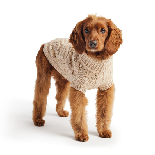 Oatmeal Chalet Dog Sweater
