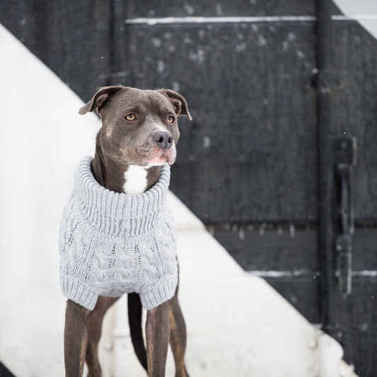 Grey Chalet Dog Sweater