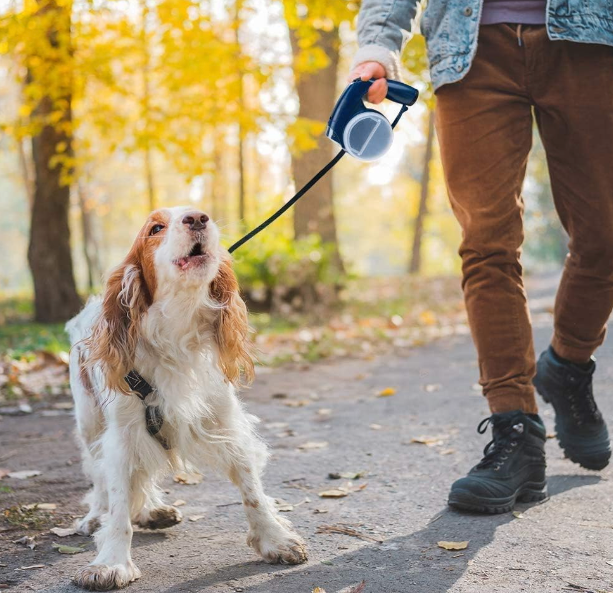 Ultimate 5-In-1 Retractable Leash