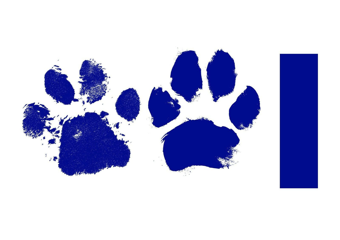 Paw Print Stamp Pad Kit