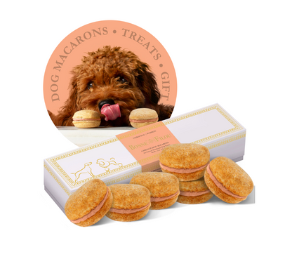 Dog Macarons (12 Flavors) Bonne et Filou
