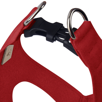 Susan Lanci Designs Step In Harness