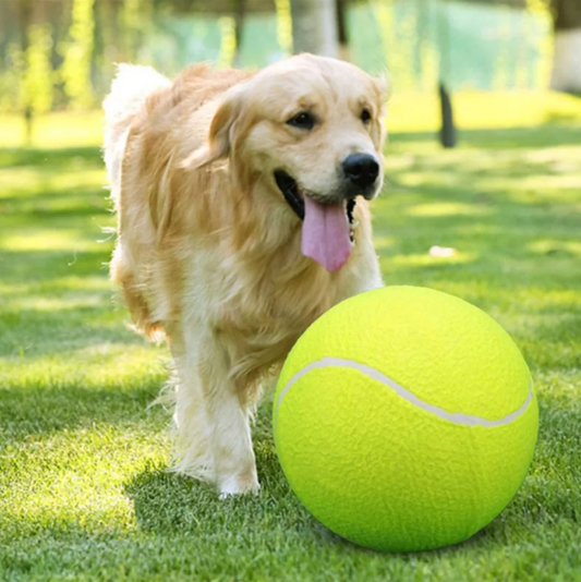 Giant Interactive Pet Tennis Ball Toy