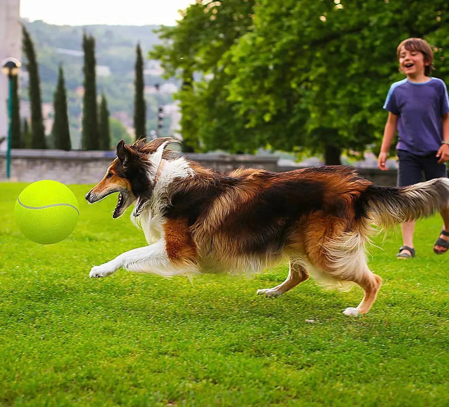 Giant Interactive Pet Tennis Ball Toy
