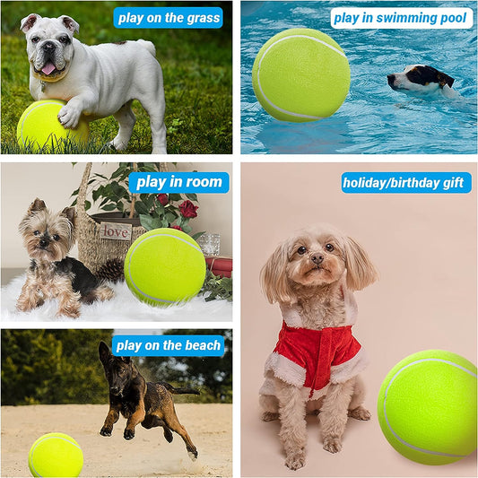Giant Interactive Pet Tennis Ball Toy