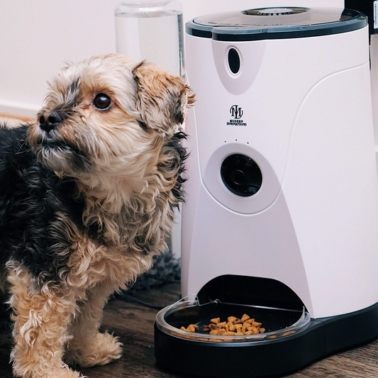 Smart WiFi Pet Feeder
