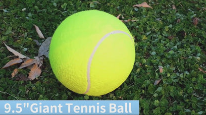 Giant Interactive Pet Tennis Ball Toy