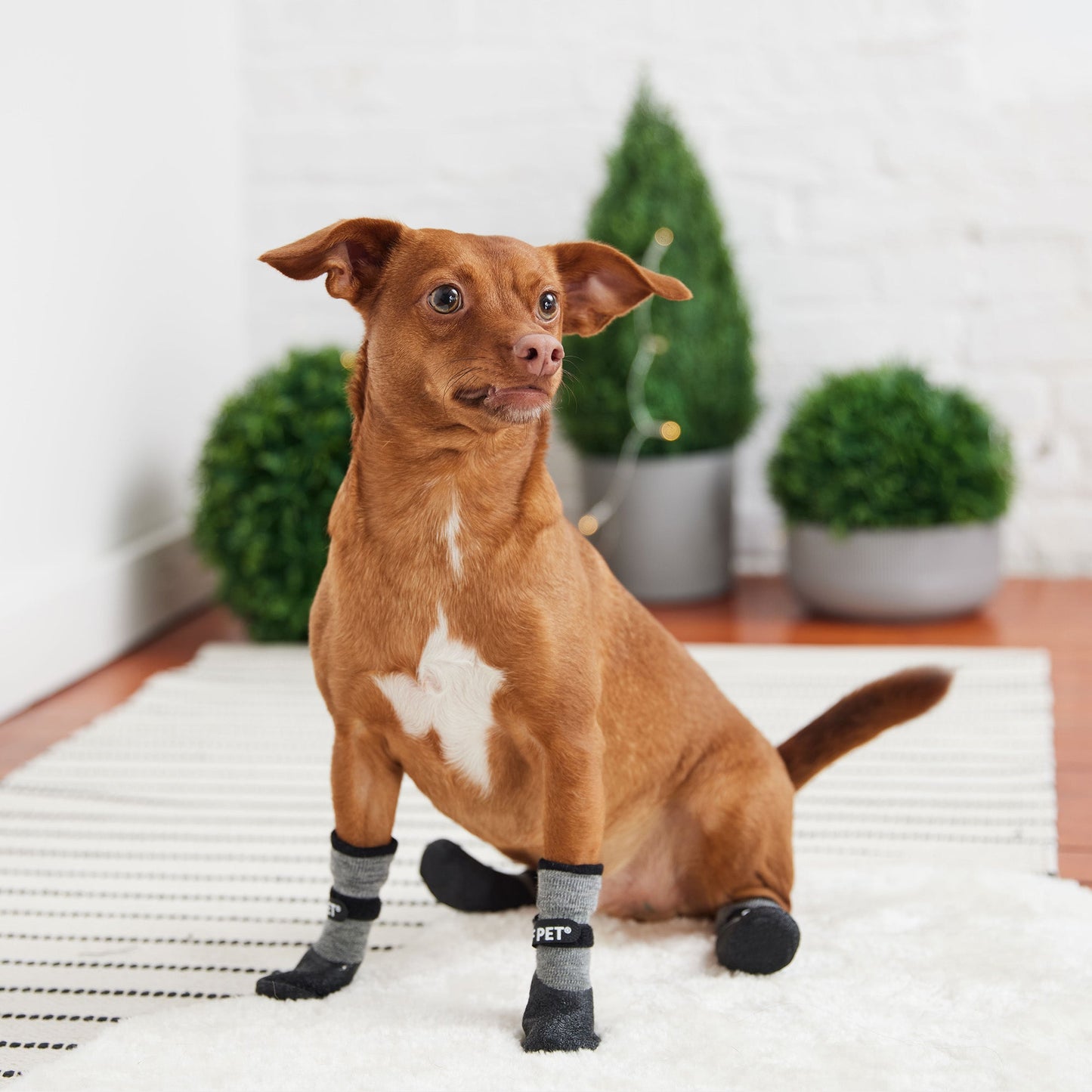 All Terrain Dog Boots